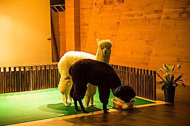 《使命召唤》游戏语音检测已排查200万个违规账号